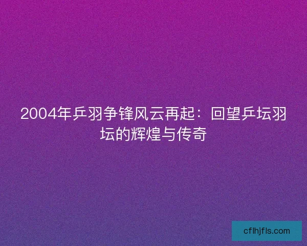 2004年乒羽争锋风云再起：回望乒坛羽坛的辉煌与传奇